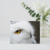 Oogoog van de Owl Briefkaart (Staand voorkant)