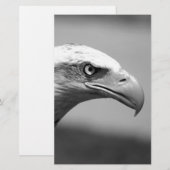 Oogoog van zwarte en witte arend briefpapier (Voorkant / Achterkant)