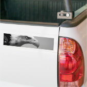Oogoog van zwarte en witte arend bumpersticker (Op Truck)