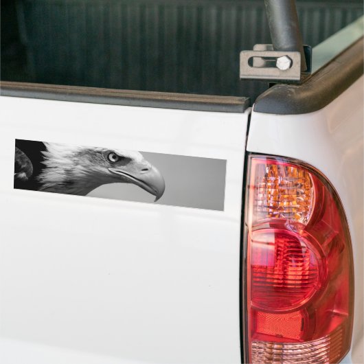 Oogoog van zwarte en witte arend bumpersticker (Op Truck)