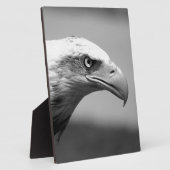 Oogoog van zwarte en witte arend fotoplaat (Zijkant)