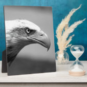 Oogoog van zwarte en witte arend fotoplaat (Zijkant)