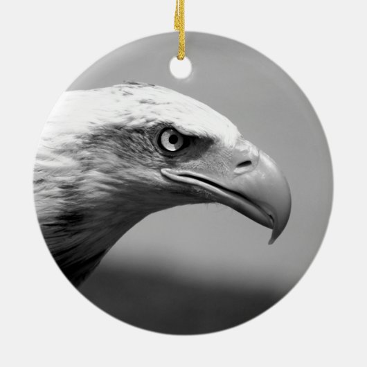 Oogoog van zwarte en witte arend keramisch ornament (Achterkant)