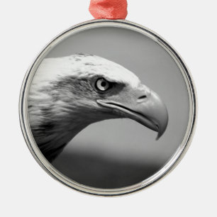 Oogoog van zwarte en witte arend metalen ornament
