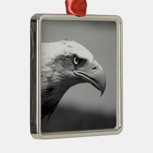 Oogoog van zwarte en witte arend metalen ornament (Rechts)