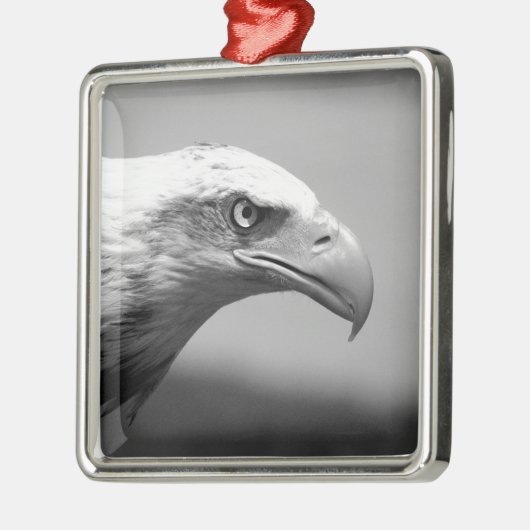 Oogoog van zwarte en witte arend metalen ornament (Links)