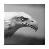 Oogoog van zwarte en witte arend tegeltje (Voorkant)