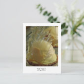 OogSnoep Briefkaart (Staand voorkant)