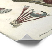 Oogspieren en schedel Anatomie Afdrukken Poster (Hoek)