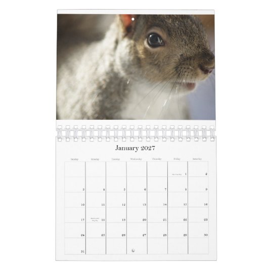 Oogspionagefotokalender Kalender (Jan 2027)