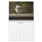 Oogspionagefotokalender Kalender (Mar 2027)