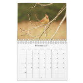 Oogspionagefotokalender Kalender (Feb 2027)