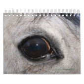 Oogspionagefotokalender Kalender (Hoes)