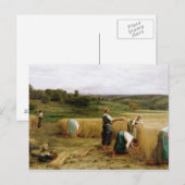 Oogst 1874 briefkaart (Voorkant / Achterkant)