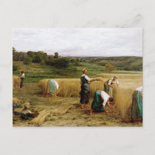 Oogst 1874 briefkaart (Voorkant)