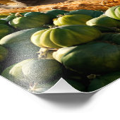 Oogst bij boerderij foto afdruk (Hoek)