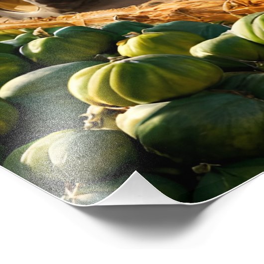 Oogst bij boerderij foto afdruk (Hoek)