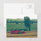 Oogst Briefkaart (Voorkant / Achterkant)