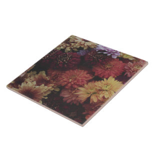 Oogst Chrysanthemum Nocturne Decoratieve tegel Tegeltje
