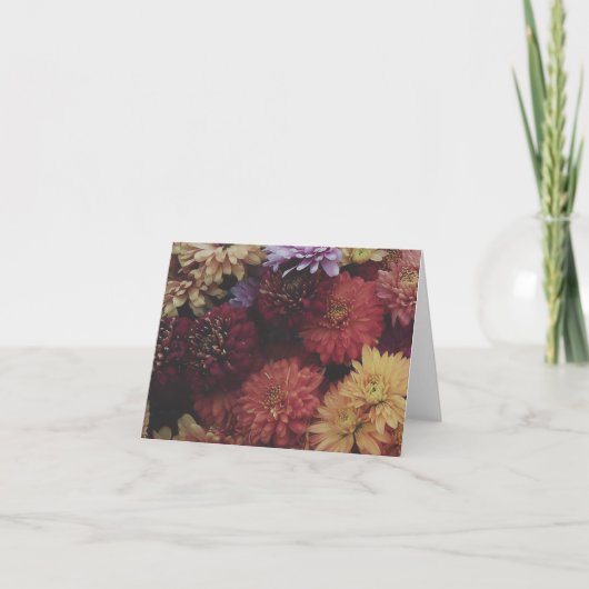 Oogst Chrysanthemum Nocturne Notitiekaart (Voorkant)
