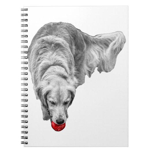 Oogst Ember Reflecties Notitieboek (Voorkant)