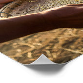 Oogst Graan, Rijstveld Poster (Hoek)