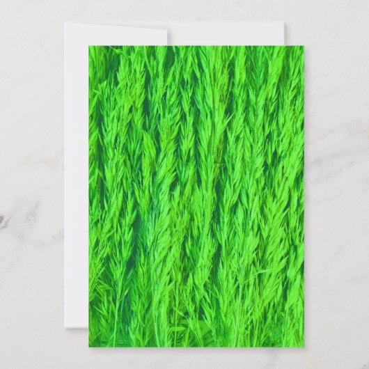 Oogst Green Grass Seed Photo Bedankkaart (Achterkant)
