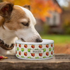 Oogst herfst appelvruchten rood en groen patroon voerbakje