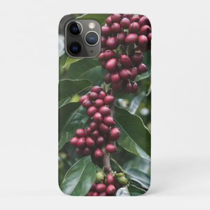 *Oogst in bloei: koffiebonen aan de boom Case-Mate iPhone Case