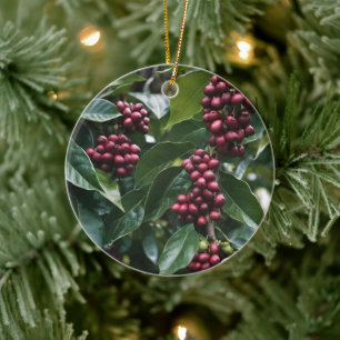 **"Oogst in bloei: koffiebonen aan de boom"** Keramisch Ornament