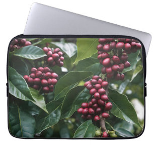 *Oogst in bloei: koffiebonen aan de boom Laptop Sleeve