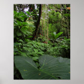 Oogst in het regenwoud poster (Voorkant)