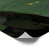 Oogst in het regenwoud poster (Hoek)