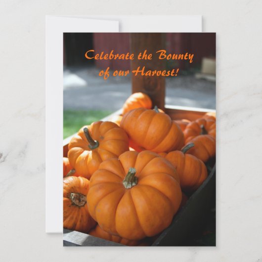 Oogst Invitation- mini pumpkins Kaart (Voorkant)