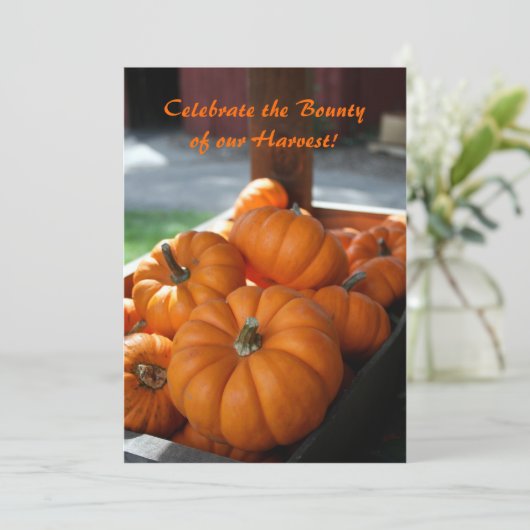Oogst Invitation- mini pumpkins Kaart (Staand voorkant)