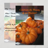 Oogst Invitation- mini pumpkins Kaart (Voorkant / Achterkant)
