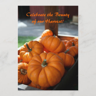 Oogst Invitation- mini pumpkins Kaart