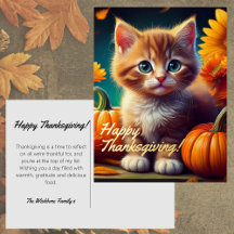 Oogst Kitten Oranje Kat Pompoen Thanksgiving