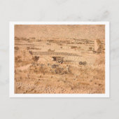 Oogst Landscape, Vincent van Gogh Briefkaart (Voorkant)