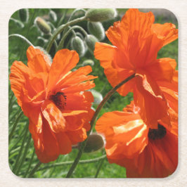 Oogst Moon Oriental Poppy Kartonnen Onderzetters