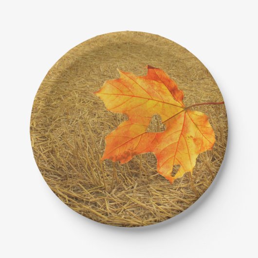 Oogst op Bord van Love Paper (Voorkant)