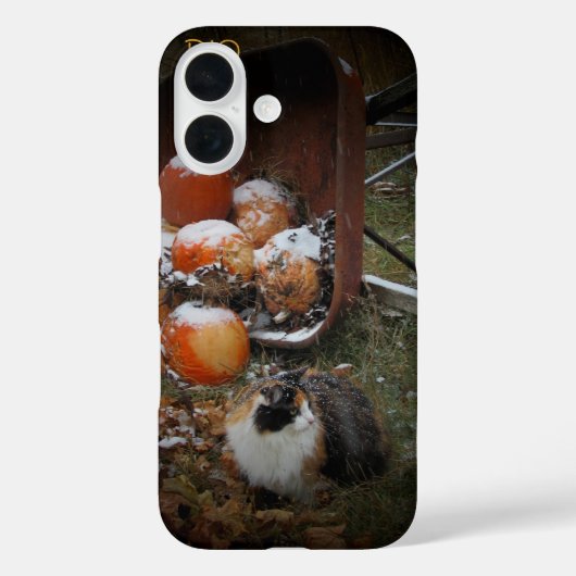 Oogst pompoenen en Calico Cat Case-Mate iPhone Case (Achterkant)
