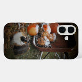 Oogst pompoenen en Calico Cat Case-Mate iPhone Case (Achterkant (horizontaal))