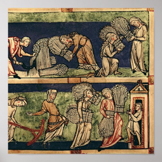 Oogst, Rijnschool Poster (Voorkant)