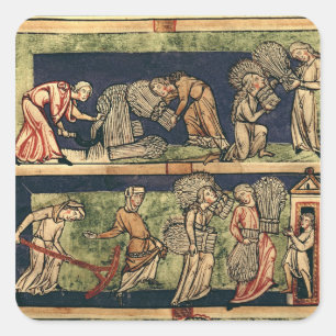 Oogst, Rijnschool Vierkante Sticker