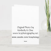 Oogst Thanksgiving Kaart (Achterkant)