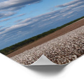 Oogst Tijd in een Canvas of Poster katoenveld (Hoek)