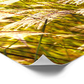 Oogst Time Poem Poster (Hoek)