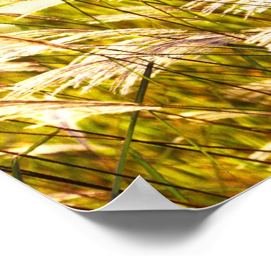 Oogst Time Poem Poster (Hoek)