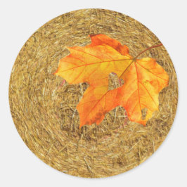 Oogst van Love Classic Round Sticker